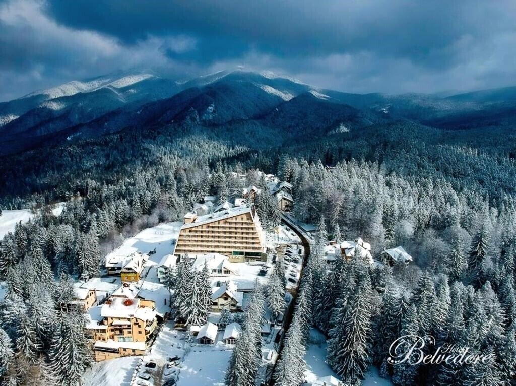 Отель Hotel Belvedere 3*