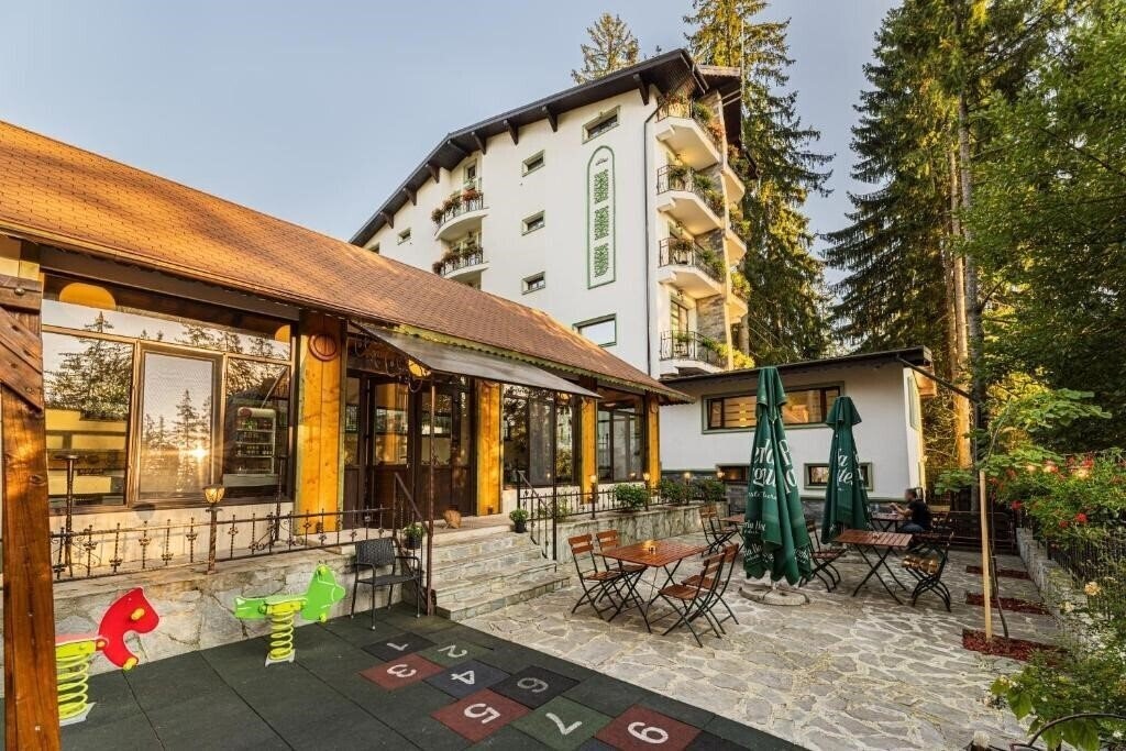 Фотографія Pensiunea Hilltop (ex. Hilltop Guesthouse) 3*