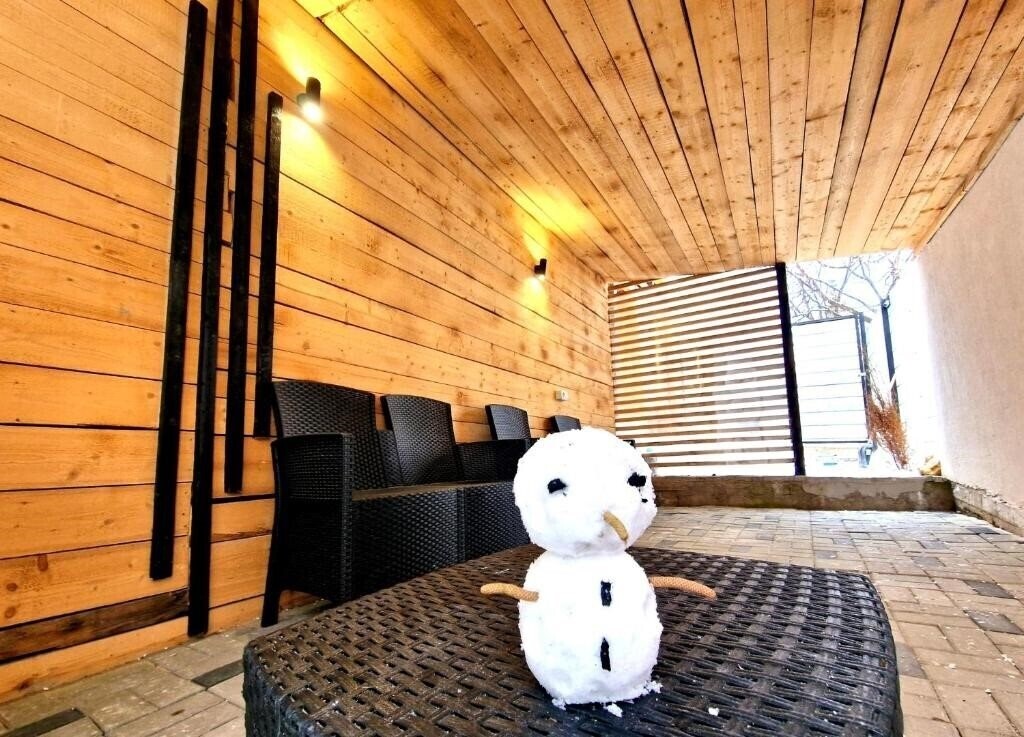 Фотография Gaia Villa Predeal 3*