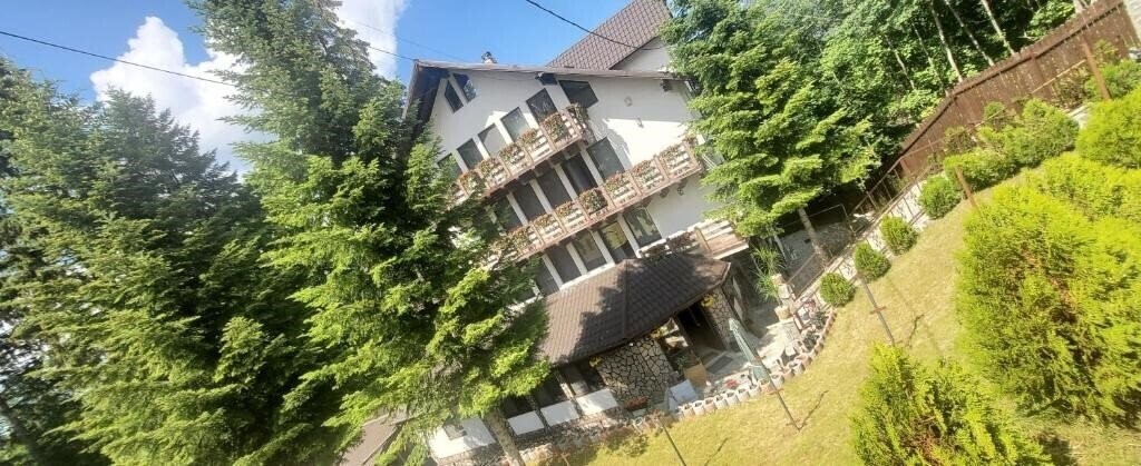 Картинка Iris 3*