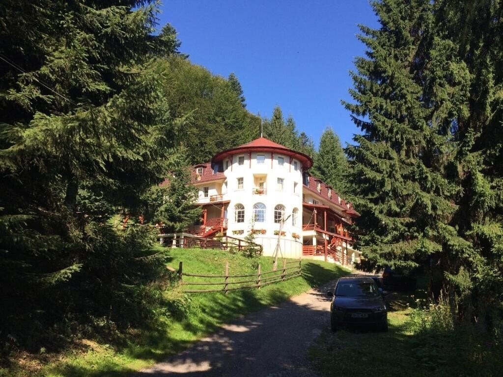Отель Pensiunea Casa Olga 4*