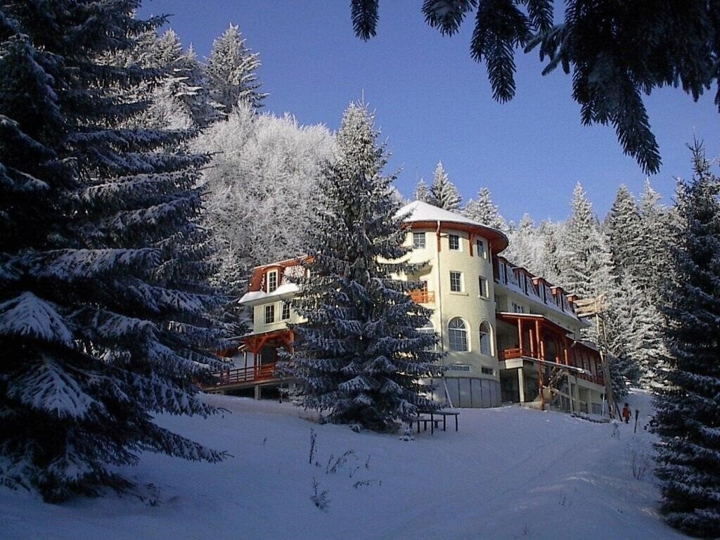 Фотография Pensiunea Casa Olga 4*