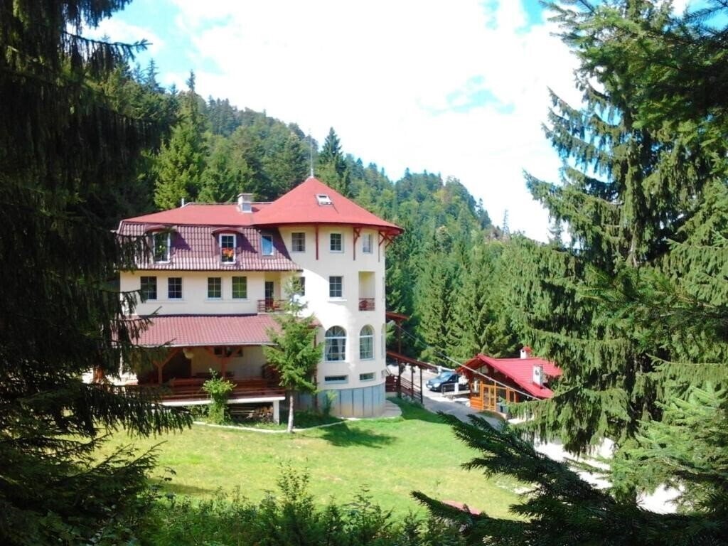 Изображение Pensiunea Casa Olga 4*