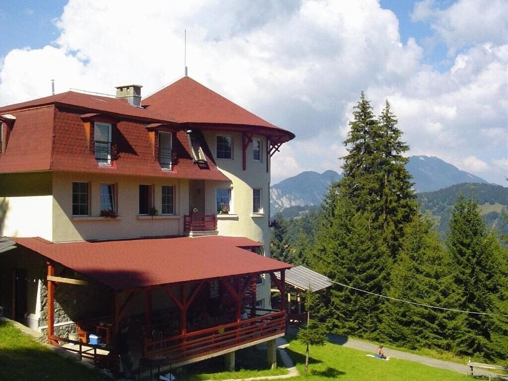 Картинка Pensiunea Casa Olga 4*