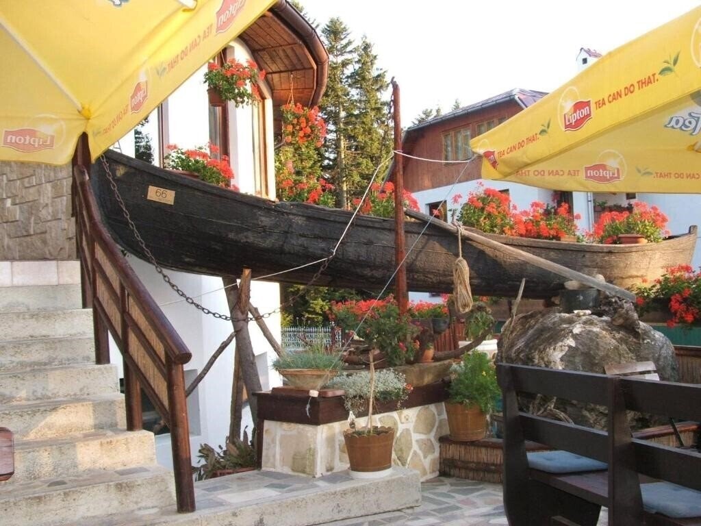 Отель Ancora 3*