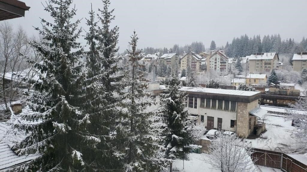 Отель Central Apartament Predeal NR 6 2*