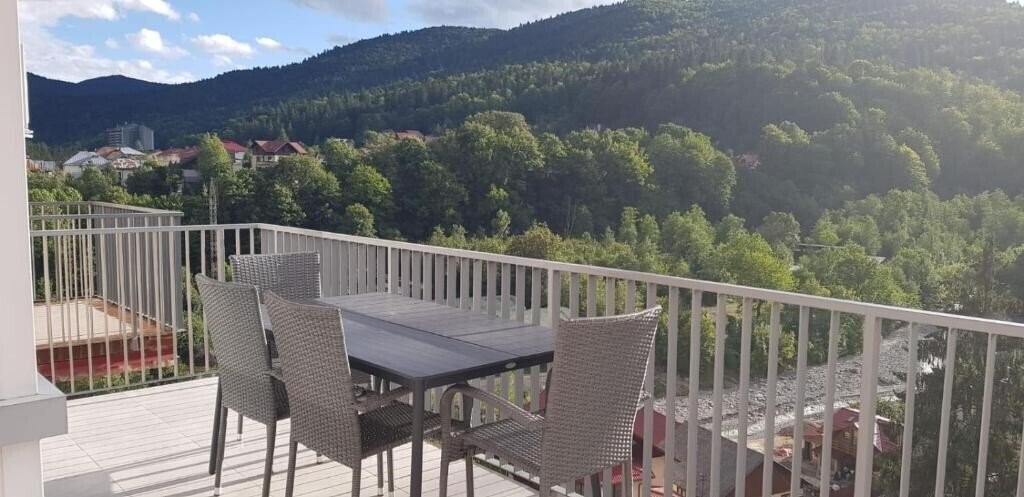 Изображение Elite Apartments Sinaia 3*