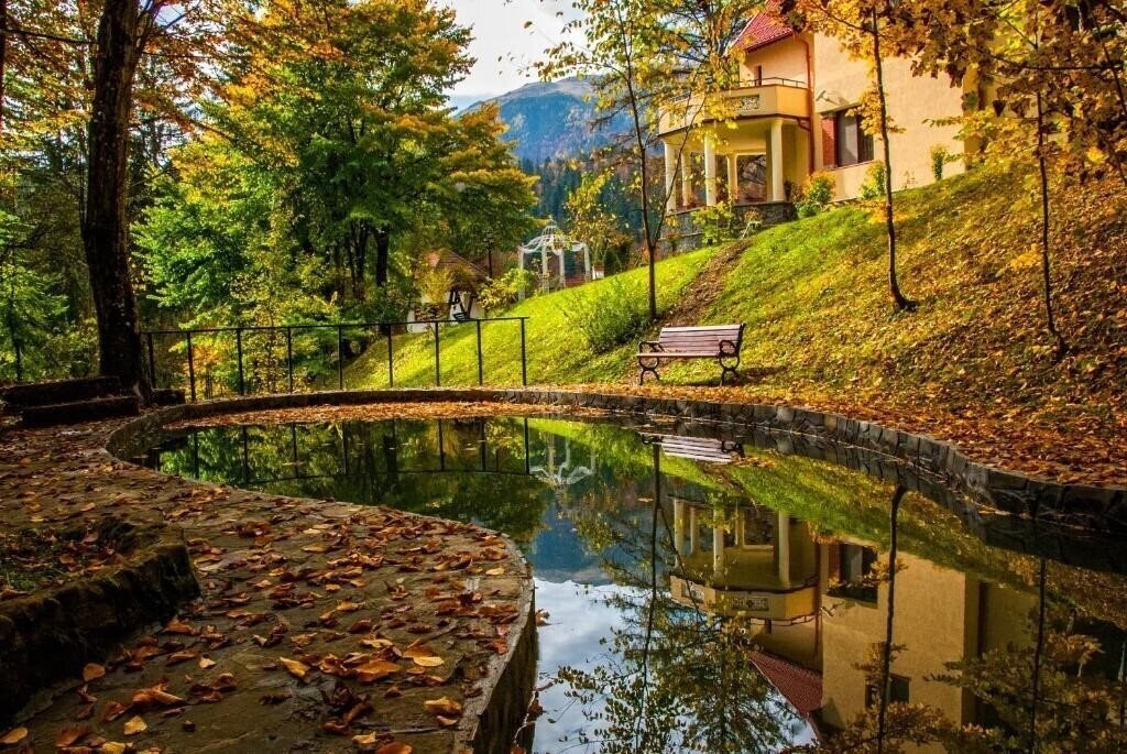 Фотография Pensiunea Boema 3*