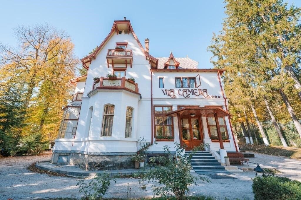 Фото Vila Camelia 3*