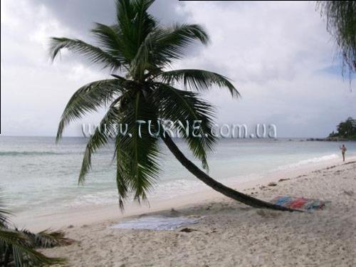 Фотография Villa Mon Reve вилла