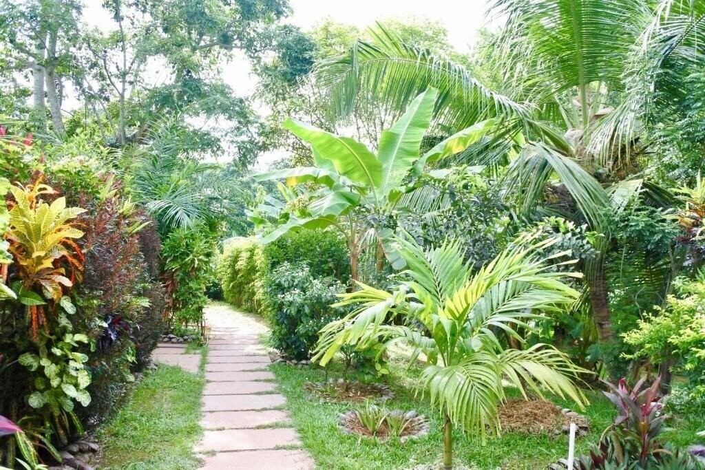 Изображение Cocotier Du Rocher 3*