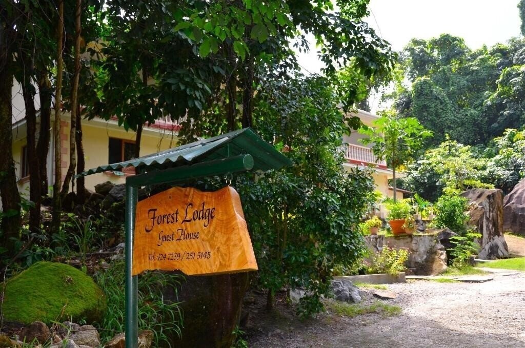 Отель Forest Lodge Guest House 3*