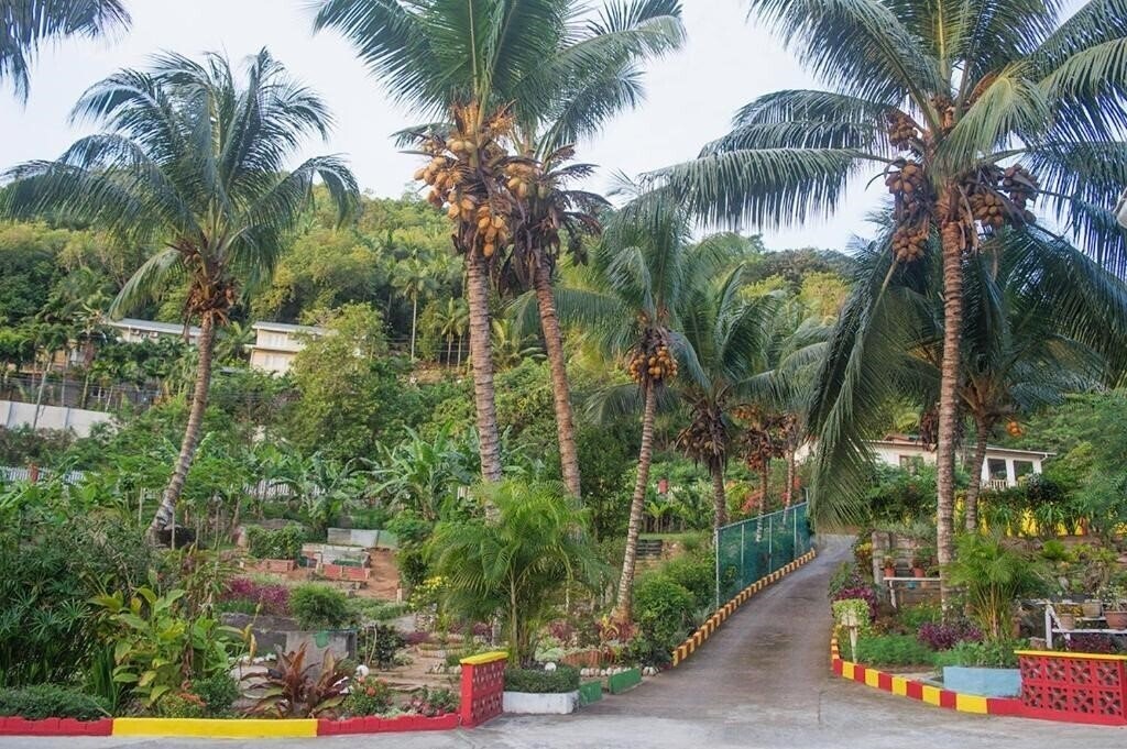 Фото Evergreen Apartments 3*