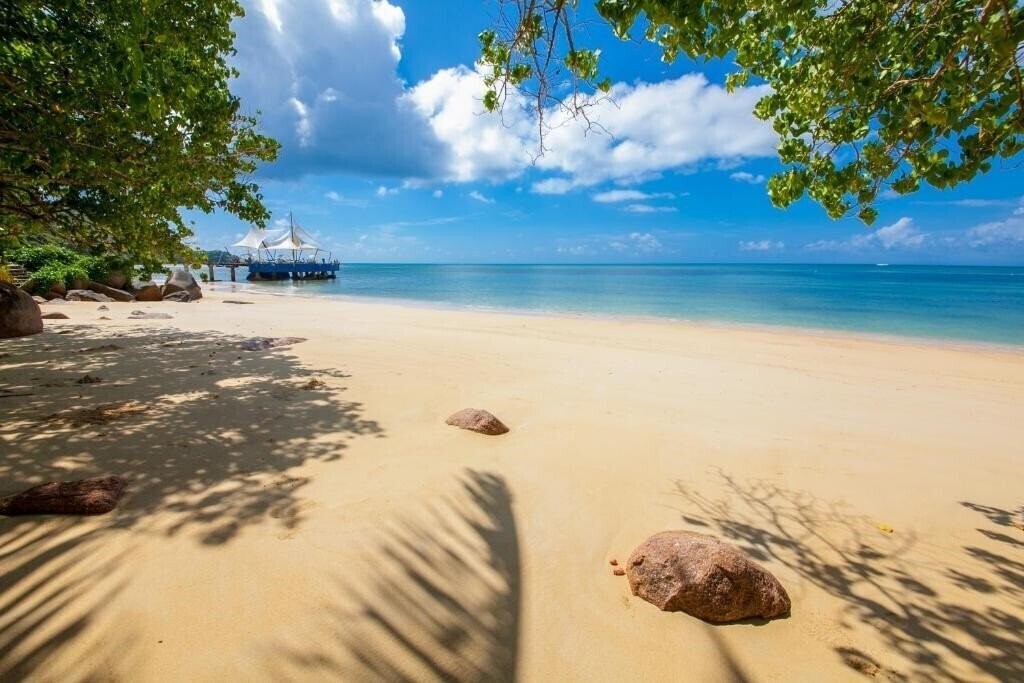 Картинка Coco de Mer Hotel and Black Parrot Suites 4*