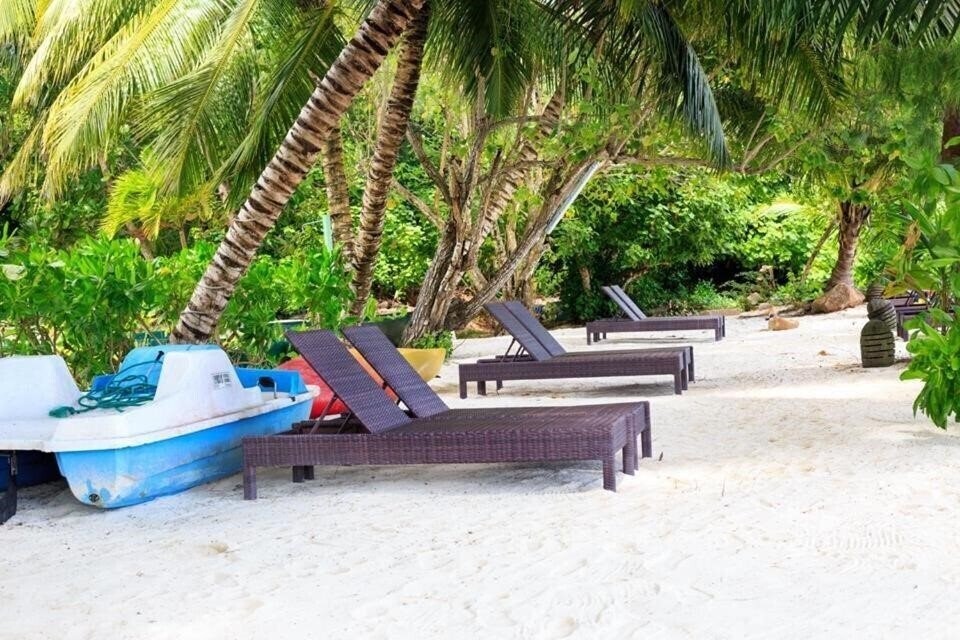 Картинка Palm Beach Hotel 3*
