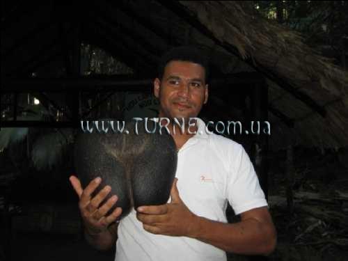 Зображення Beach Villas 2*