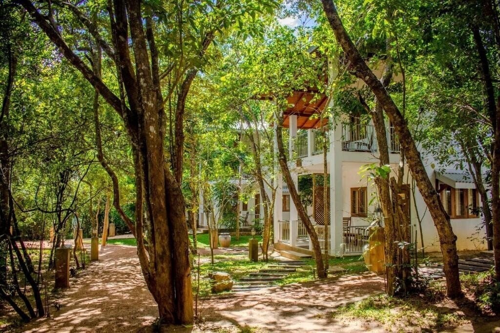 Картинка Amaara Forest Hotel 3*