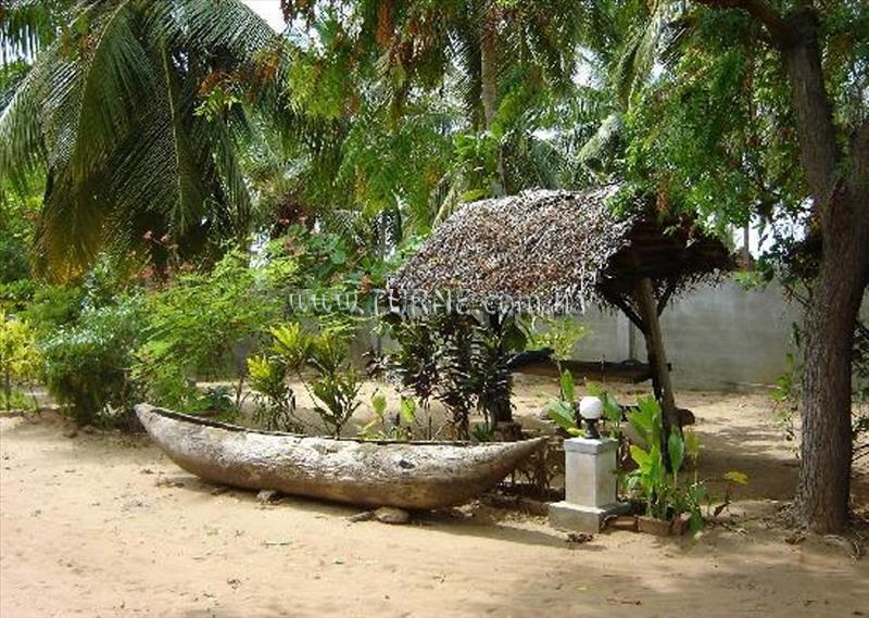 Фото The Danish Villa 2*