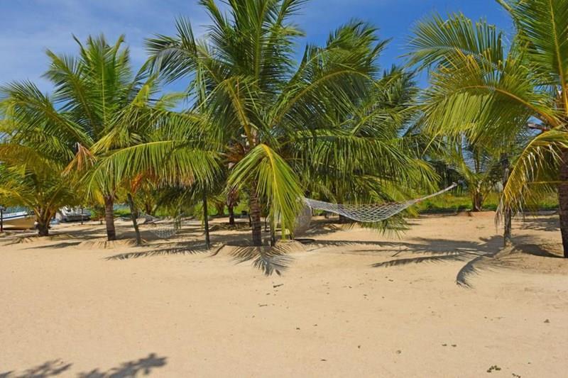 Зображення Marina Beach 3*