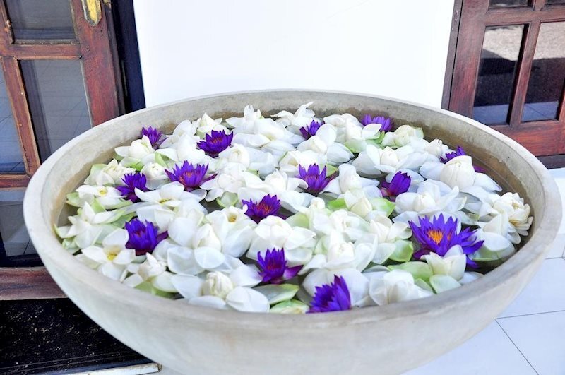 Картинка Ocean of Life Ayurvedic Resort 3*