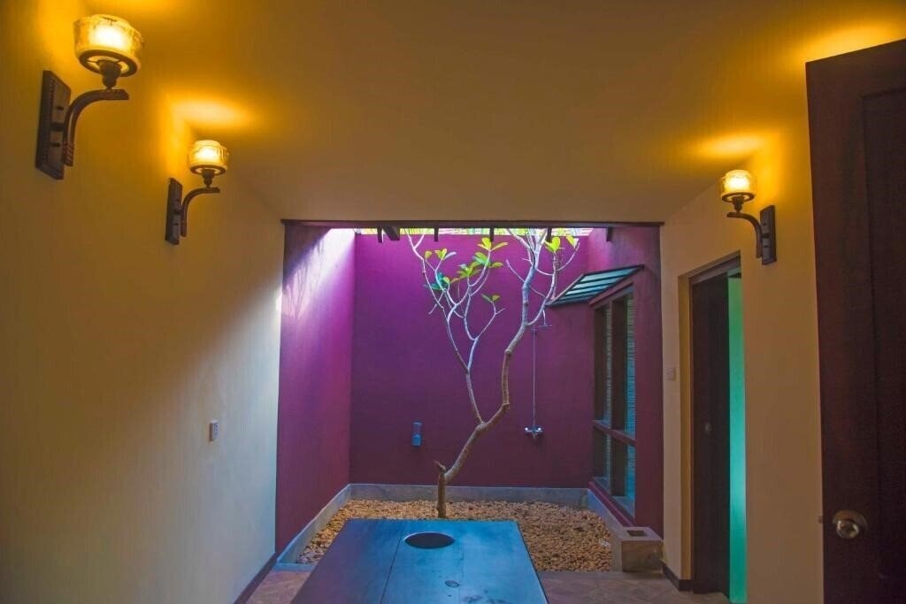 Фотографія Celestia Wellness Resort 4*