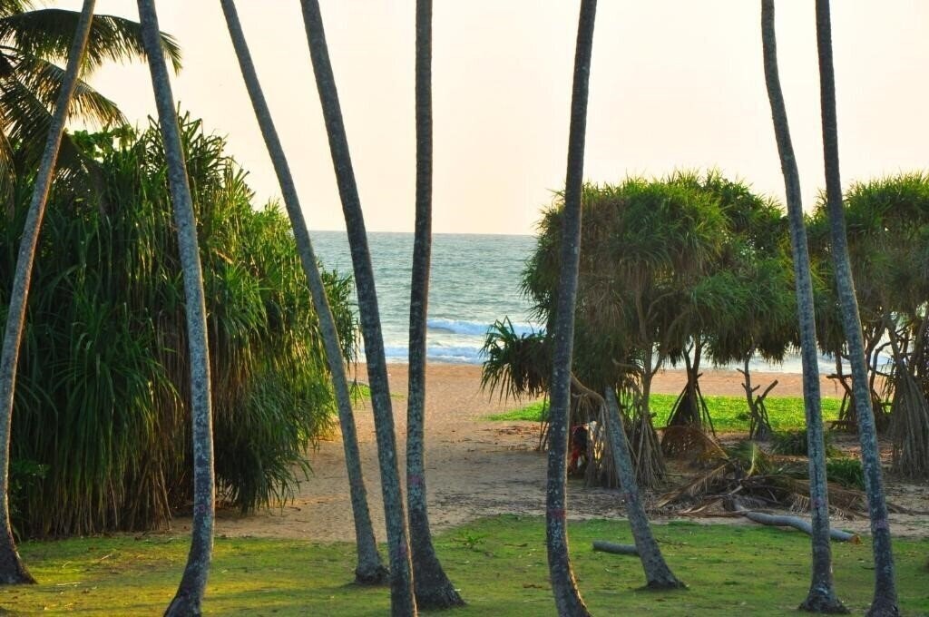 Отель The Ocean Breeze Bentota 3*