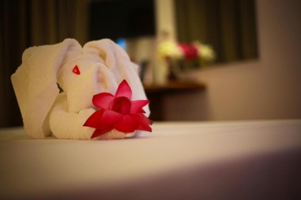 Картинка Arena Hotel 3*