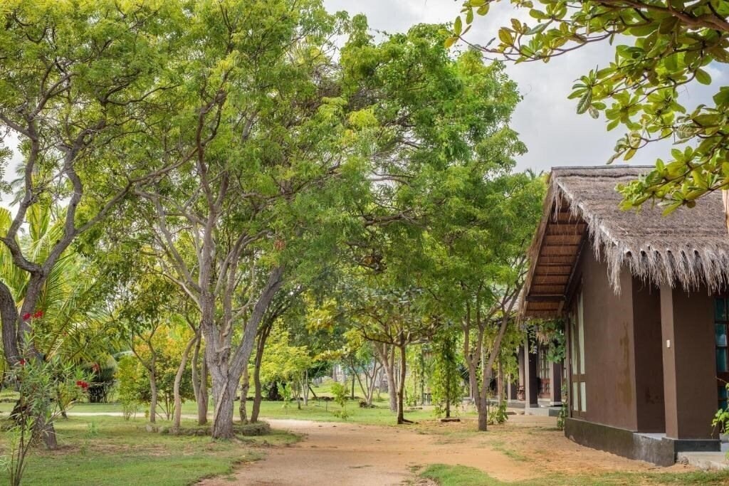 Изображение Club Mango Eco Resort Kalpitiya 3*