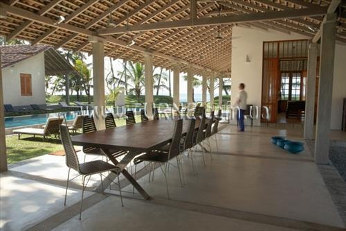 Картинка Frangipani Tree 5*