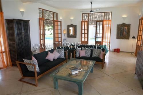 Зображення Frangipani Tree 5*