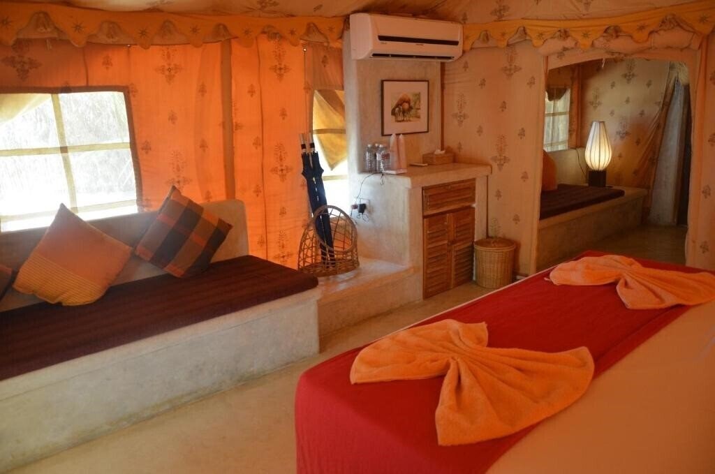 Картинка Dolphin Beach 4*