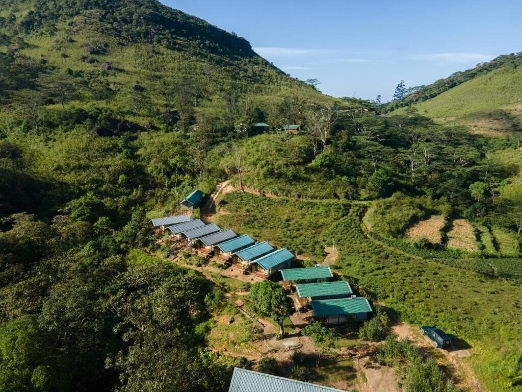 Картинка Wild Glamping - Knuckles 3*