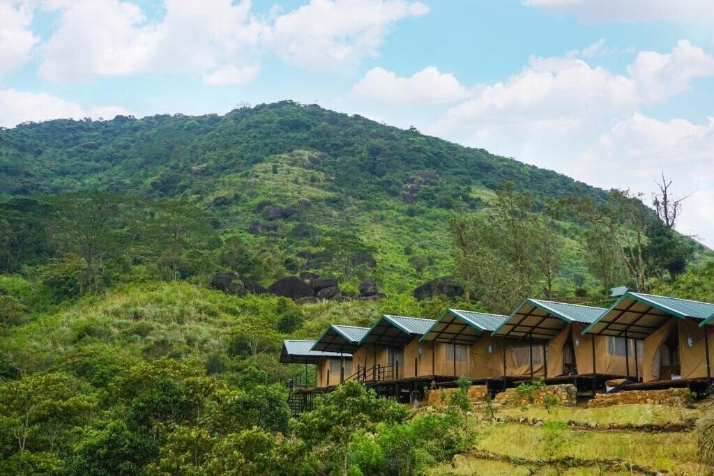 Фото Wild Glamping - Knuckles 3*
