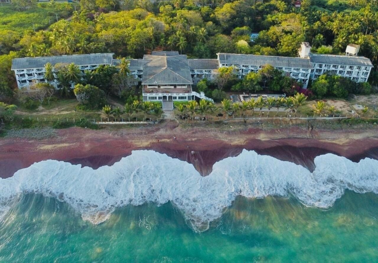 Фотография Peacock Beach Hotel 4*