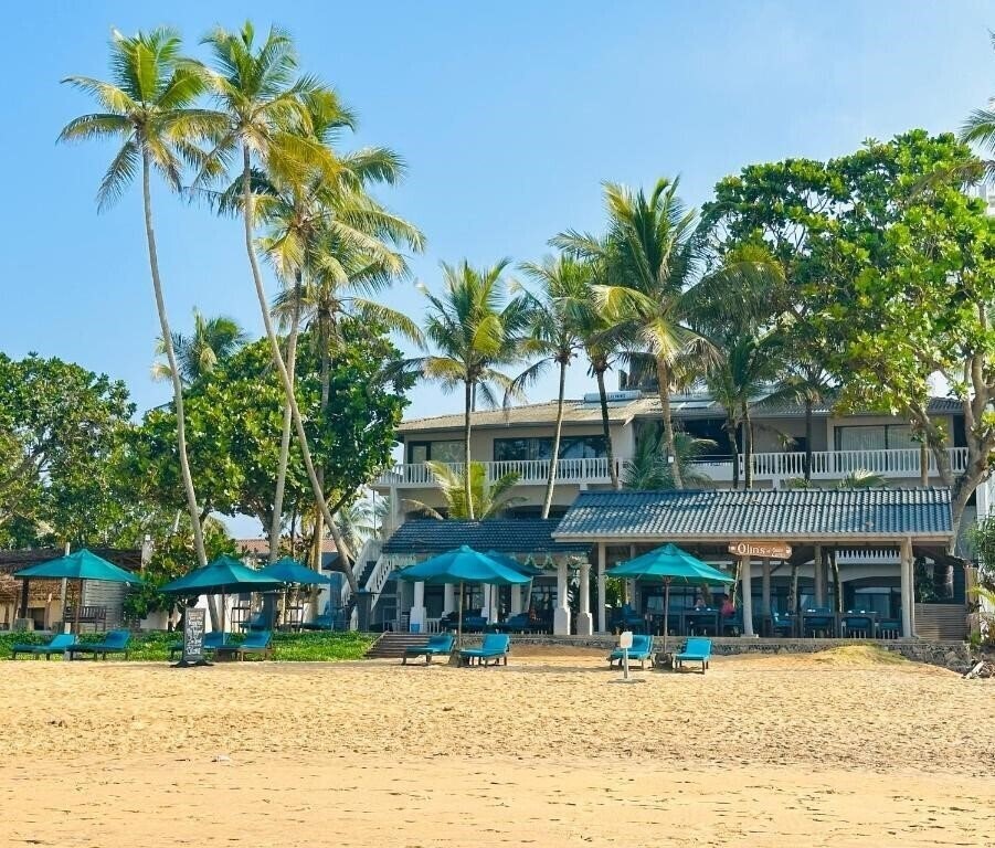 Фотографія Suite Lanka 3*