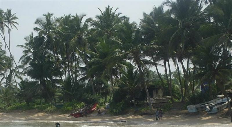 Фотографія Villa Coast Hikkaduwa 2*