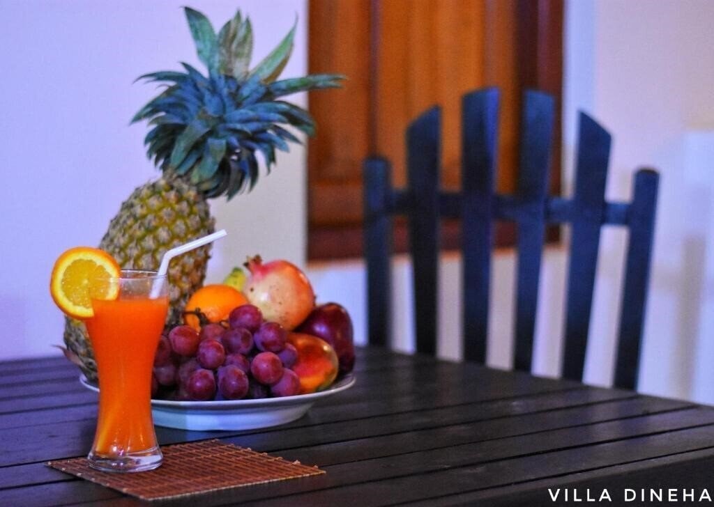 Фотографія Villa Dineha 3*