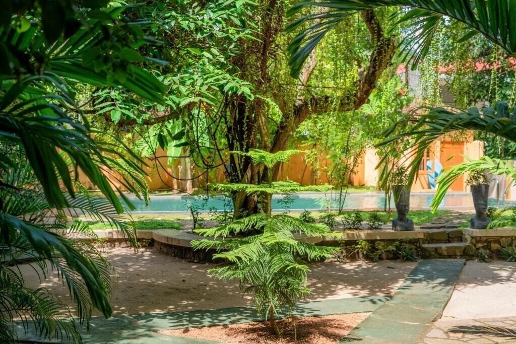 Зображення Monkey Villa 3*