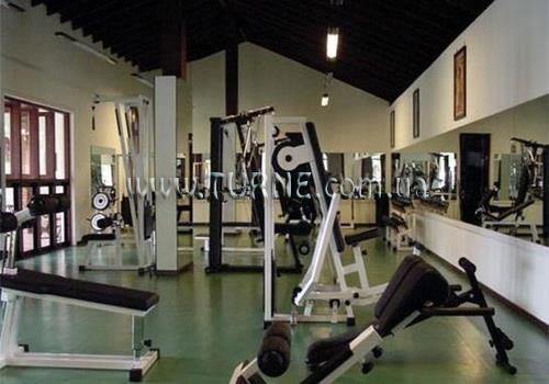 Фото Palm Village 3*