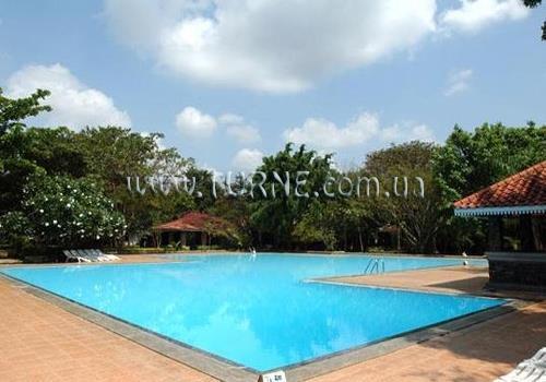 Отель Palm Village 3*