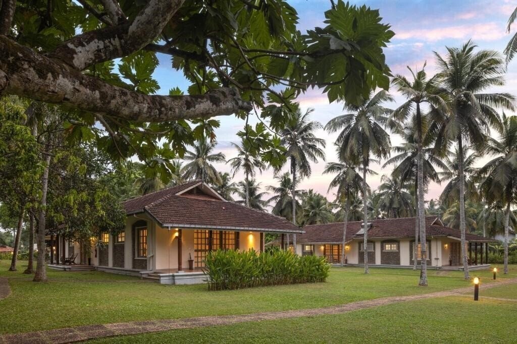 Картинка Tamarind Tree 3*
