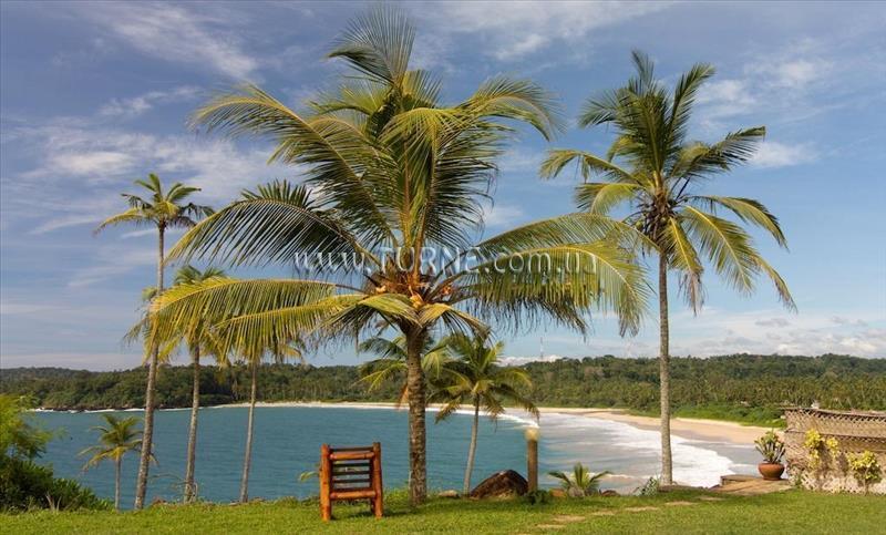 Фото Panorama Talalla Beach 3*