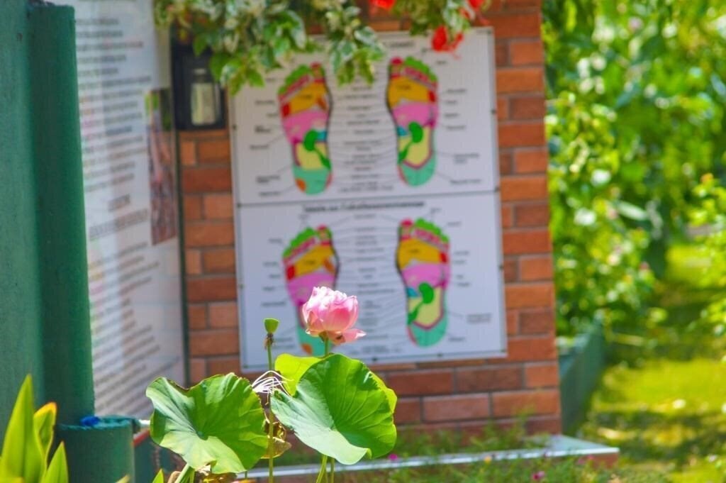 Изображение Brizo Paradiso Polhena 3*