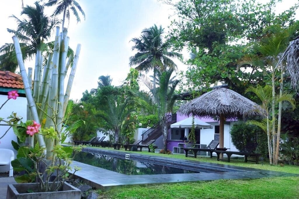 Картинка Turtle Eco Beach Hotel 3*