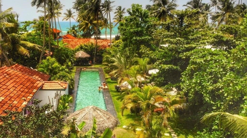 Отель Turtle Eco Beach Hotel 3*