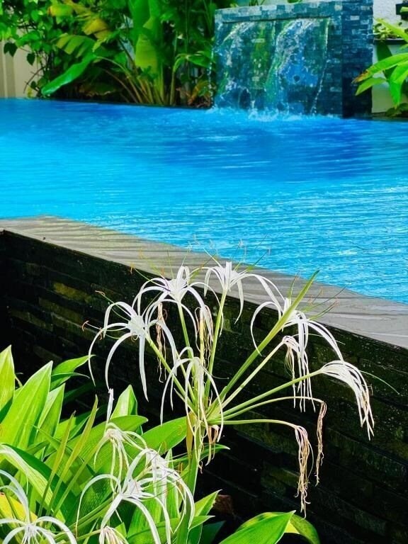 Отель Beverly Beach Mirissa 3*