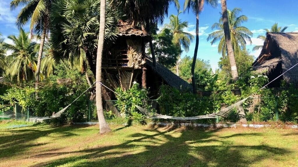 Фотографія Wind Blend Kite Resort 3*