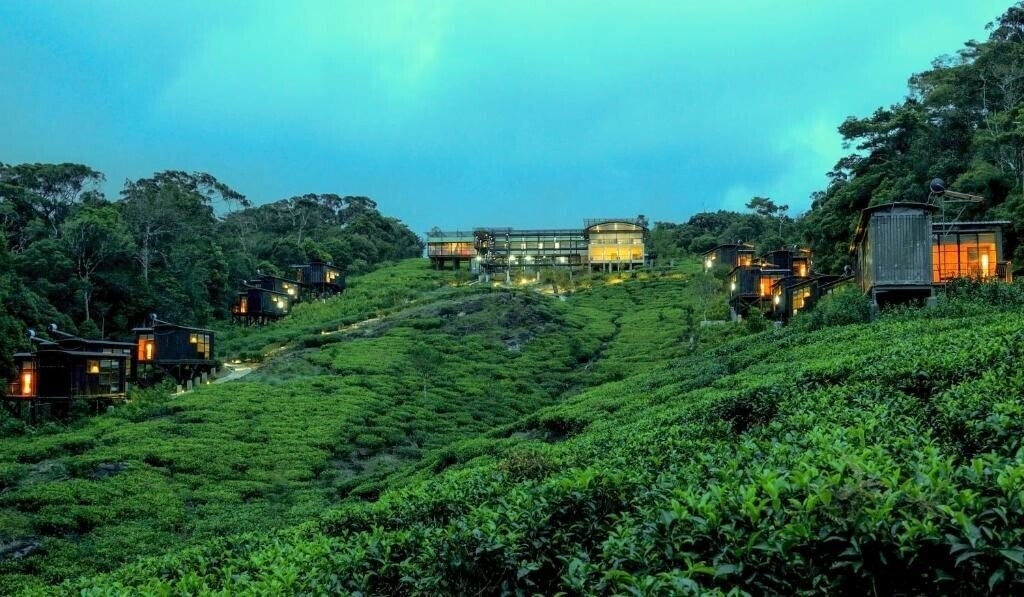 Отель The Rainforest Ecolodge 3*