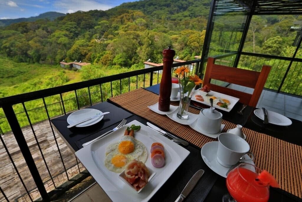 Фотография The Rainforest Ecolodge 3*