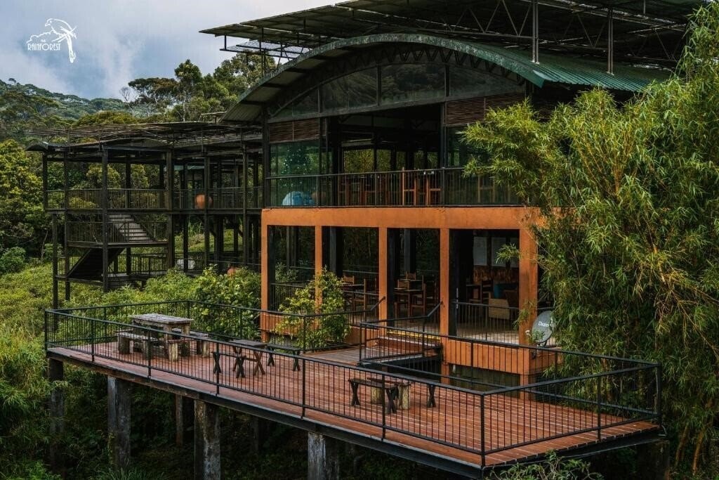 Картинка The Rainforest Ecolodge 3*